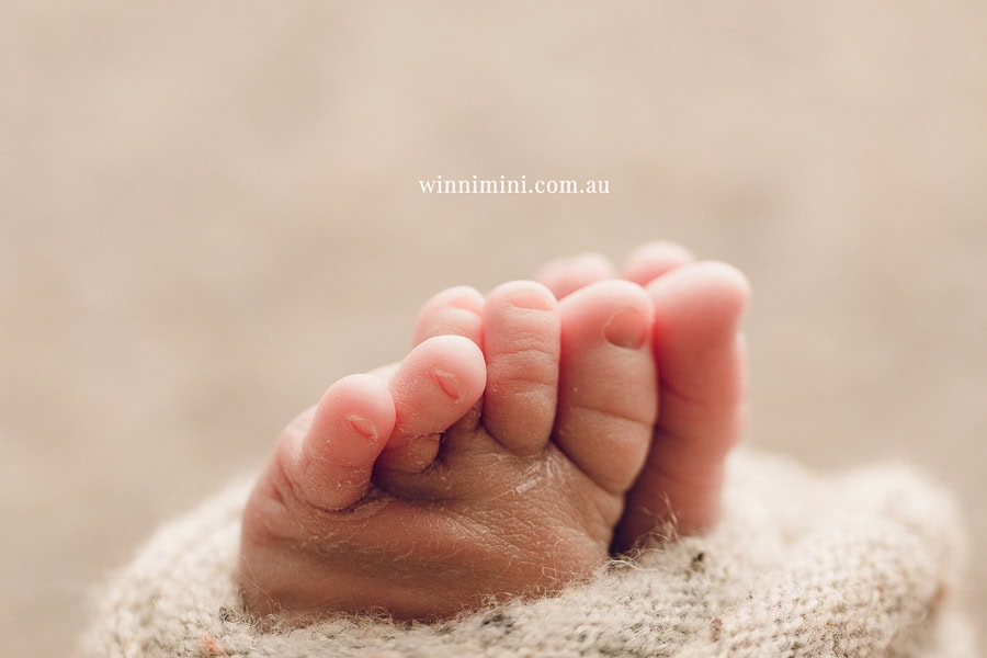 babies newborn baby family photographer photography photograph photos photo babies gold coast brisbane the best family picture pictures tanha basile winni mini