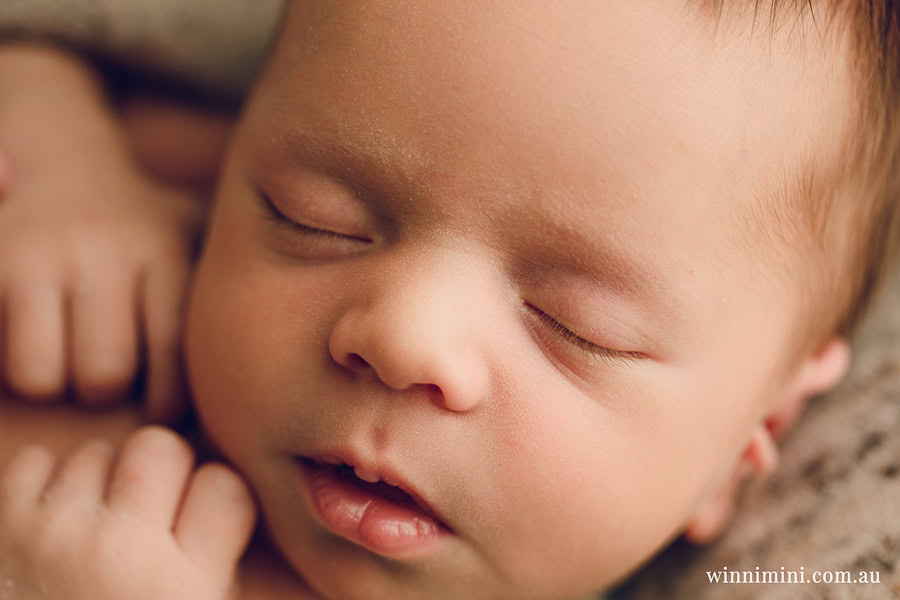 babies newborn baby family photographer photography photograph photos photo babies gold coast brisbane the best family picture pictures tanha basile winni mini