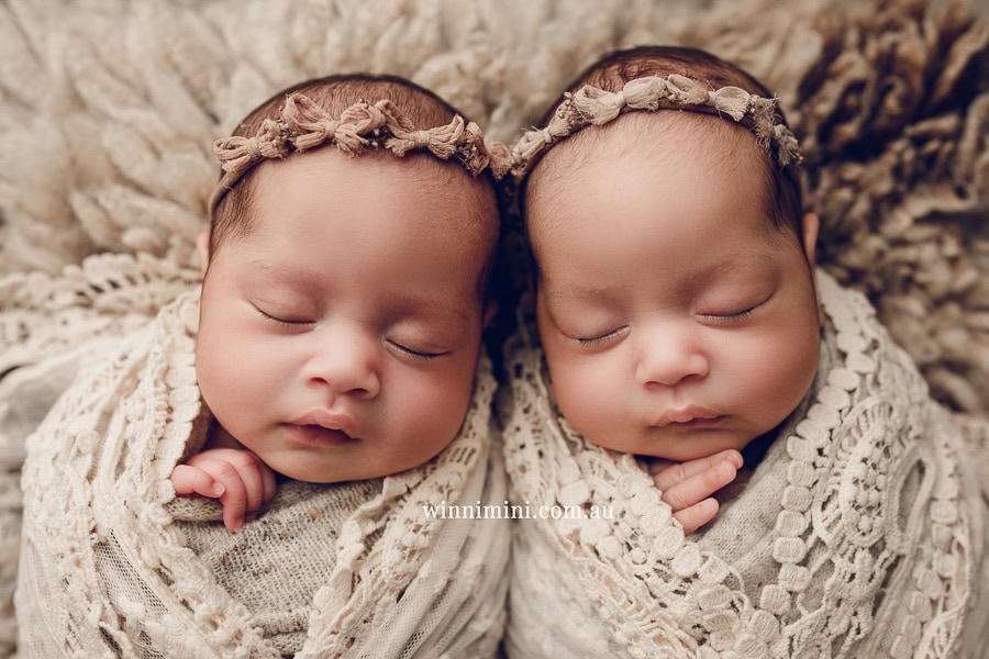 newborn baby family photographer tanha photography photograph photos photo babies gold coast brisbane the best family picture pictures tanha basile winni mini