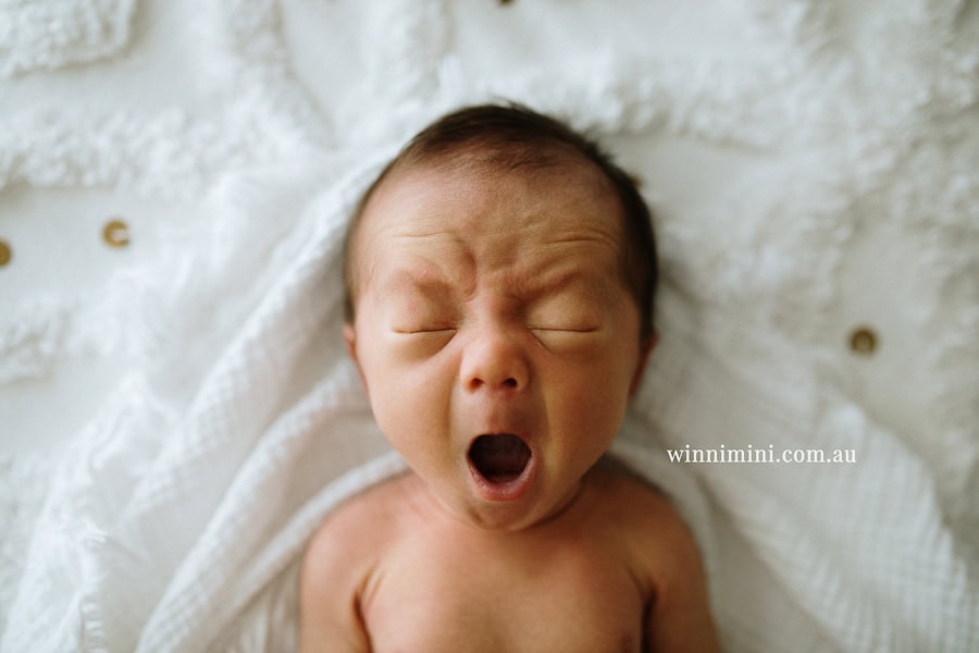 newborn baby family photographer tanha photography photograph photos photo babies gold coast brisbane the best family picture pictures tanha basile winni mini