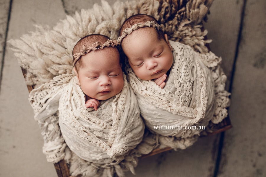 newborn baby family photographer tanha photography photograph photos photo babies gold coast brisbane the best family picture pictures tanha basile winni mini