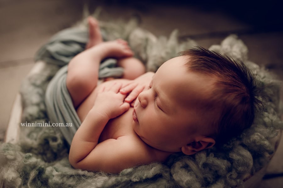 babies newborn baby family photographer photography photograph photos photo babies gold coast brisbane the best family picture pictures tanha basile winni mini