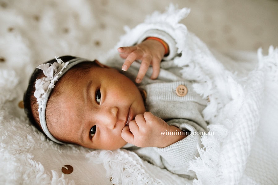 newborn baby family photographer tanha photography photograph photos photo babies gold coast brisbane the best family picture pictures tanha basile winni mini