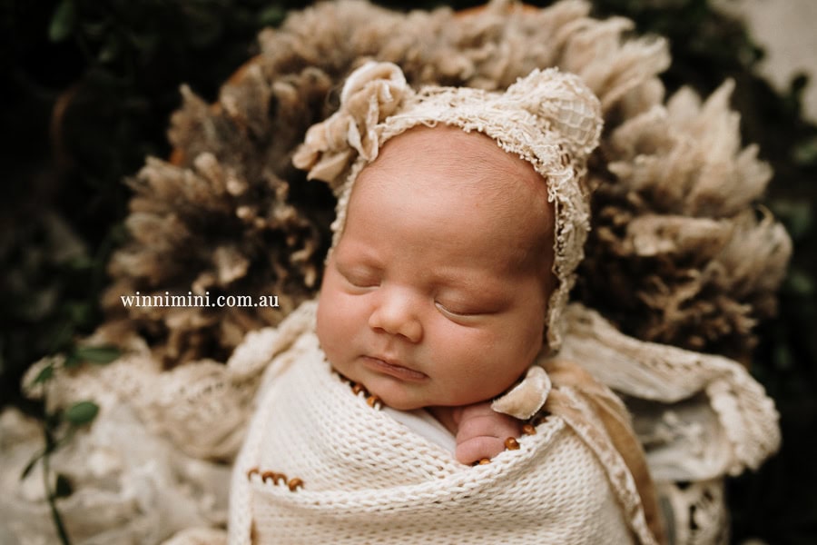 newborn baby family photographer tanha photography photograph photos photo babies gold coast brisbane the best family picture pictures tanha basile winni mini