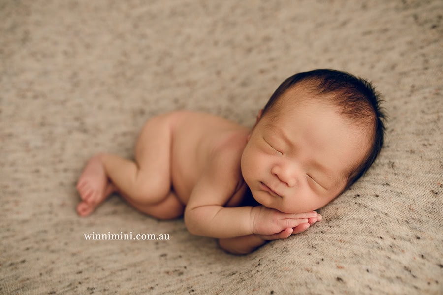 newborn baby family photographer tanha photography photograph photos photo babies gold coast brisbane the best family picture pictures tanha basile winni mini