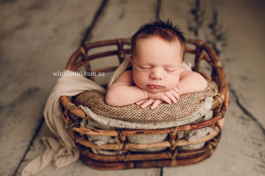 babies newborn baby family photographer photography photograph photos photo babies gold coast brisbane the best family picture pictures tanha basile winni mini