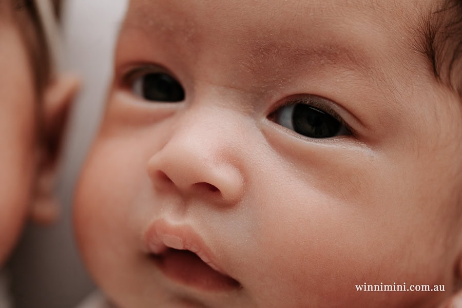 newborn baby family photographer tanha photography photograph photos photo babies gold coast brisbane the best family picture pictures tanha basile winni mini