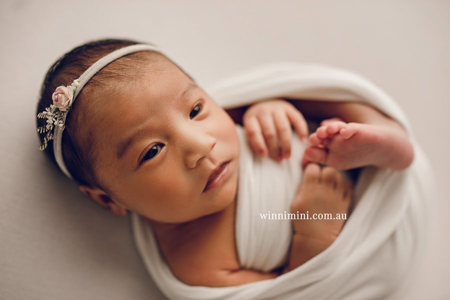 newborn baby family photographer tanha photography photograph photos photo babies gold coast brisbane the best family picture pictures tanha basile winni mini
