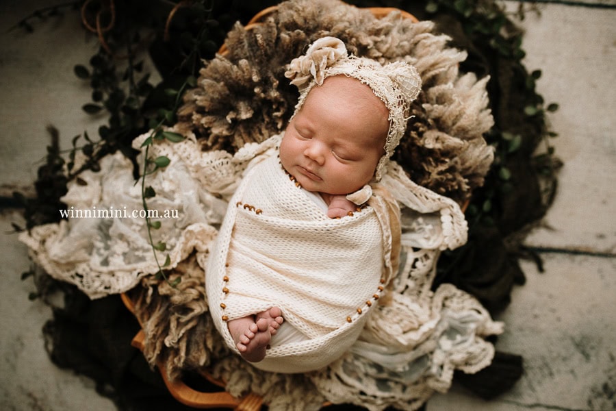 newborn baby family photographer tanha photography photograph photos photo babies gold coast brisbane the best family picture pictures tanha basile winni mini