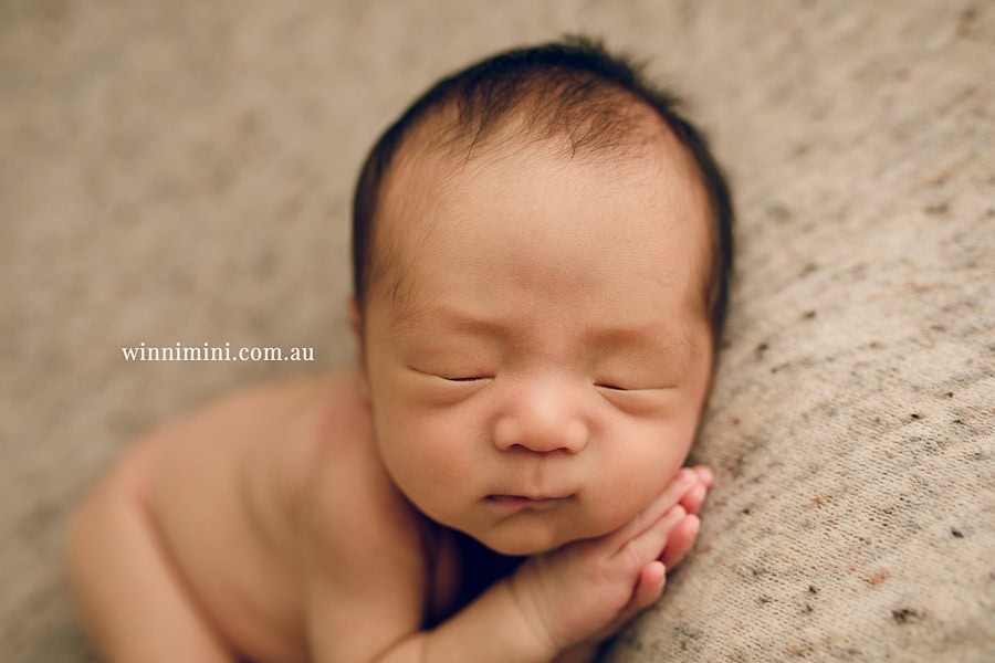 newborn baby family photographer tanha photography photograph photos photo babies gold coast brisbane the best family picture pictures tanha basile winni mini