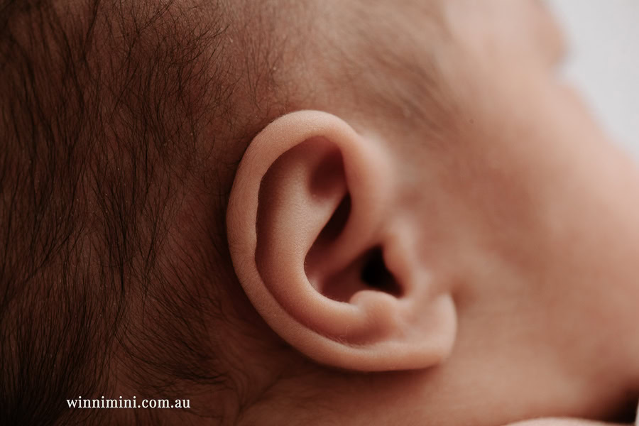 newborn baby family photographer tanha photography photograph photos photo babies gold coast brisbane the best family picture pictures tanha basile winni mini