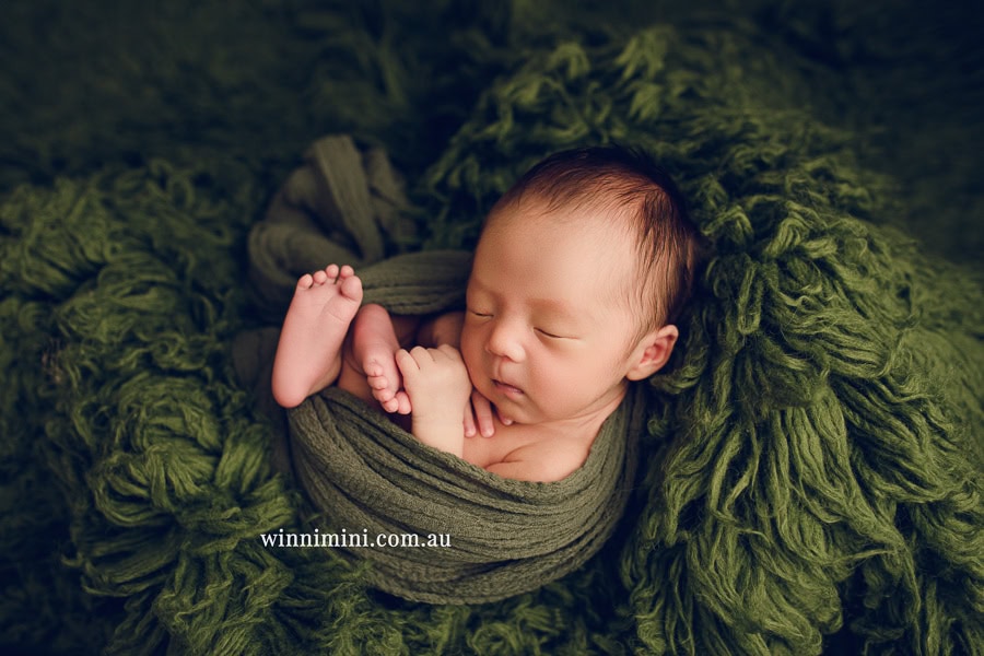 newborn baby family photographer tanha photography photograph photos photo babies gold coast brisbane the best family picture pictures tanha basile winni mini