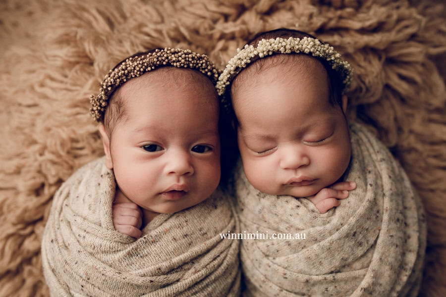 newborn baby family photographer tanha photography photograph photos photo babies gold coast brisbane the best family picture pictures tanha basile winni mini