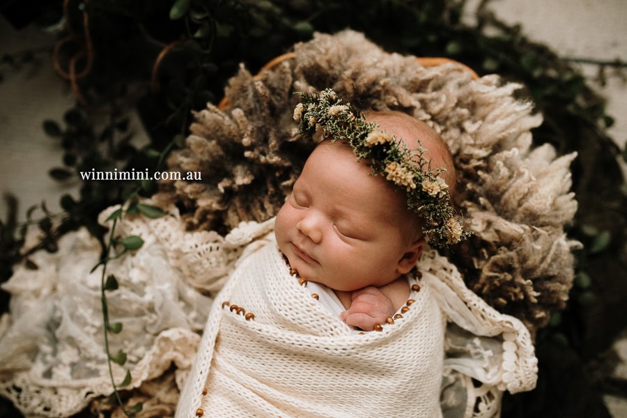 newborn baby family photographer tanha photography photograph photos photo babies gold coast brisbane the best family picture pictures tanha basile winni mini