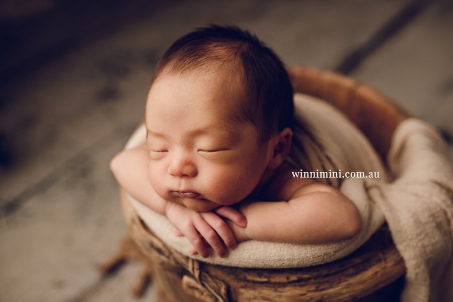 newborn baby family photographer tanha photography photograph photos photo babies gold coast brisbane the best family picture pictures tanha basile winni mini