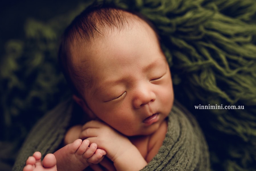 newborn baby family photographer tanha photography photograph photos photo babies gold coast brisbane the best family picture pictures tanha basile winni mini
