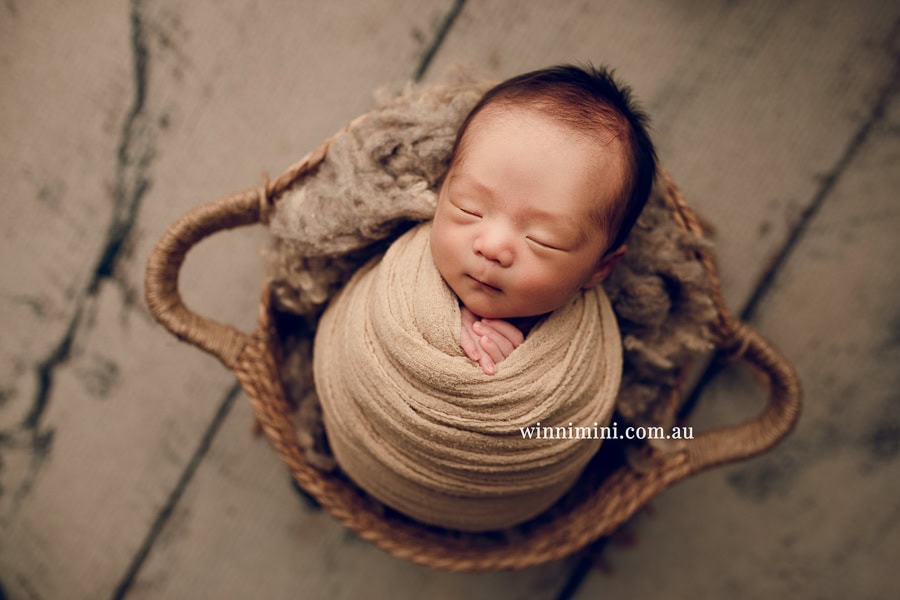 newborn baby family photographer tanha photography photograph photos photo babies gold coast brisbane the best family picture pictures tanha basile winni mini