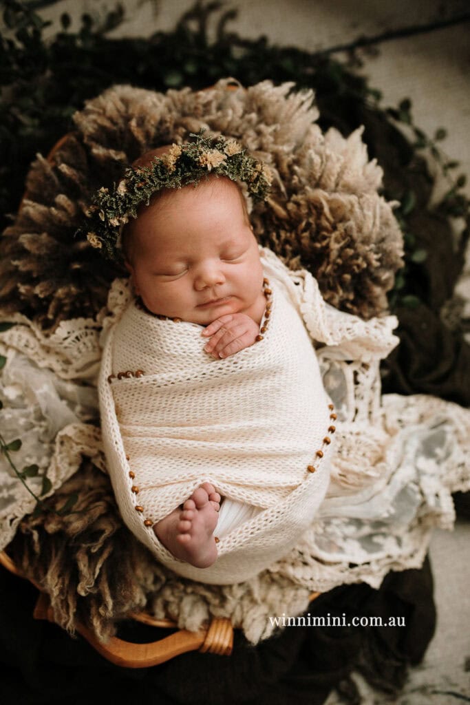 newborn baby family photographer tanha photography photograph photos photo babies gold coast brisbane the best family picture pictures tanha basile winni mini