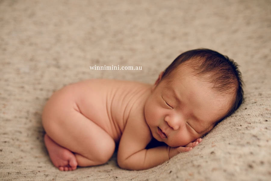 newborn baby family photographer tanha photography photograph photos photo babies gold coast brisbane the best family picture pictures tanha basile winni mini
