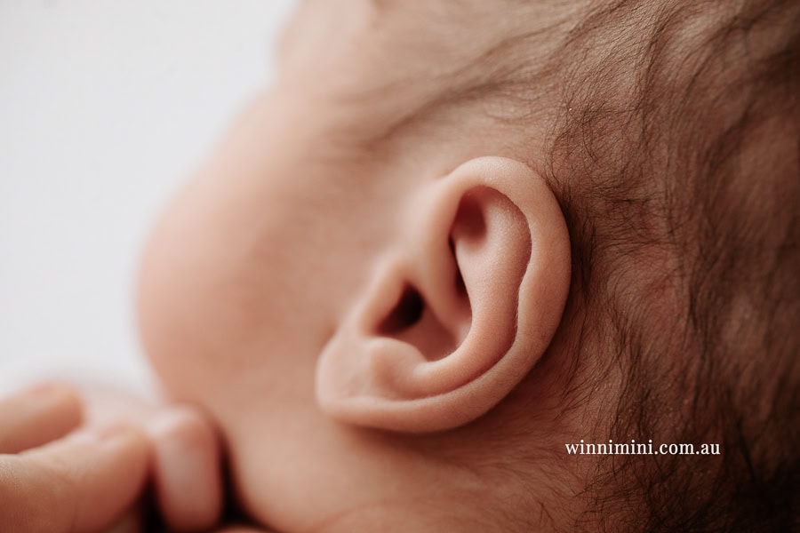 newborn baby family photographer tanha photography photograph photos photo babies gold coast brisbane the best family picture pictures tanha basile winni mini