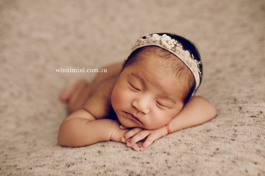 newborn baby family photographer tanha photography photograph photos photo babies gold coast brisbane the best family picture pictures tanha basile winni mini