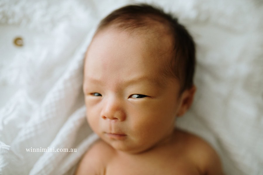 newborn baby family photographer tanha photography photograph photos photo babies gold coast brisbane the best family picture pictures tanha basile winni mini