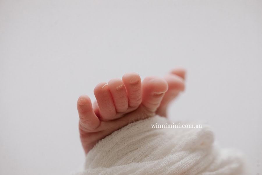 newborn baby family photographer tanha photography photograph photos photo babies gold coast brisbane the best family picture pictures tanha basile winni mini