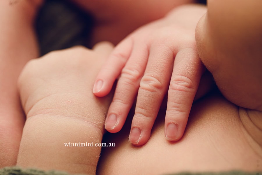 newborn baby family photographer tanha photography photograph photos photo babies gold coast brisbane the best family picture pictures tanha basile winni mini