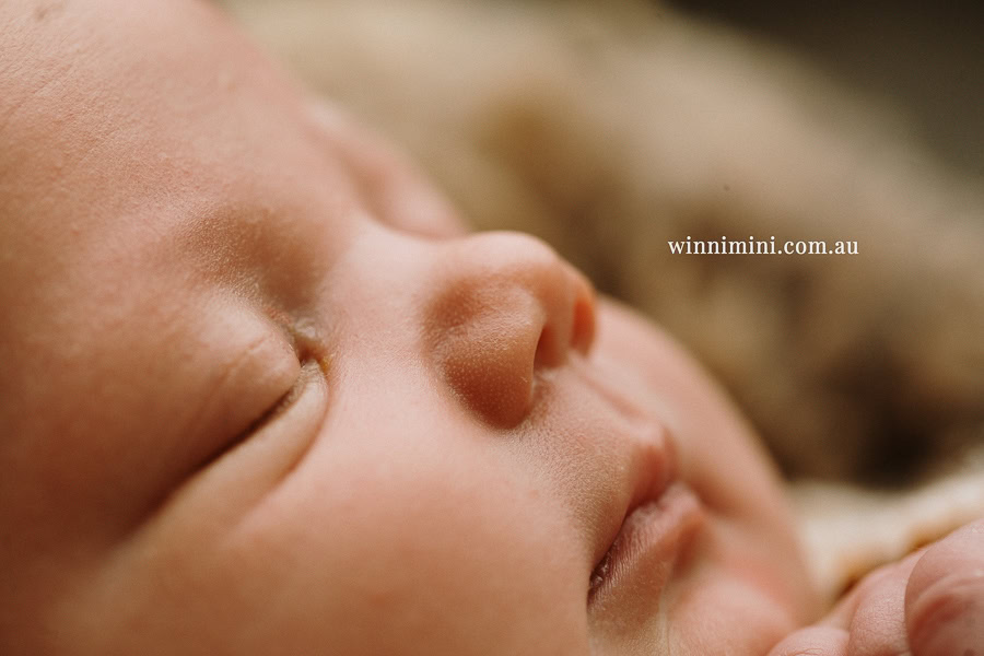 newborn baby family photographer tanha photography photograph photos photo babies gold coast brisbane the best family picture pictures tanha basile winni mini