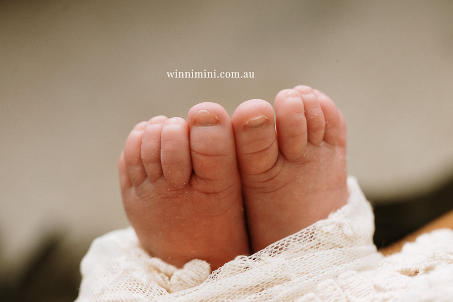 newborn baby family photographer tanha photography photograph photos photo babies gold coast brisbane the best family picture pictures tanha basile winni mini