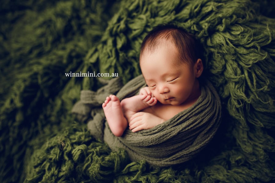 newborn baby family photographer tanha photography photograph photos photo babies gold coast brisbane the best family picture pictures tanha basile winni mini