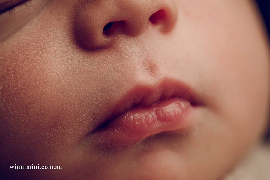 babies newborn baby family photographer photography photograph photos photo babies gold coast brisbane the best family picture pictures tanha basile winni mini