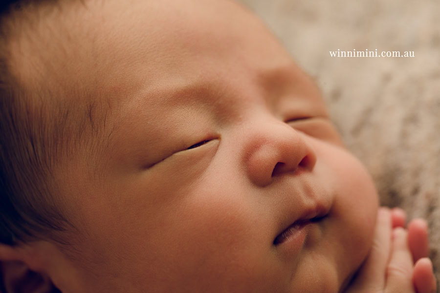 newborn baby family photographer tanha photography photograph photos photo babies gold coast brisbane the best family picture pictures tanha basile winni mini