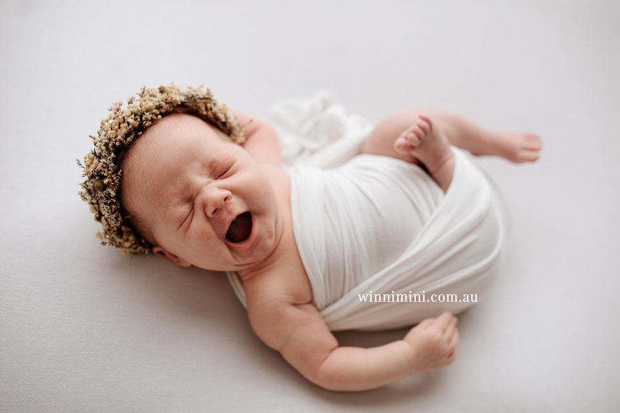newborn baby family photographer tanha photography photograph photos photo babies gold coast brisbane the best family picture pictures tanha basile winni mini