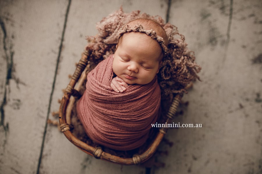 newborn baby family photographer tanha photography photograph photos photo babies gold coast brisbane the best family picture pictures tanha basile winni mini