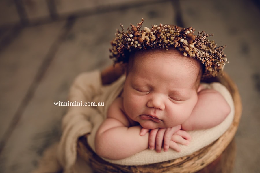 newborn baby family photographer tanha photography photograph photos photo babies gold coast brisbane the best family picture pictures tanha basile winni mini