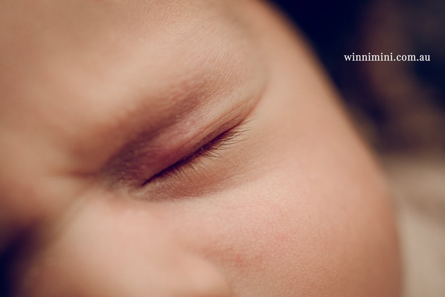 babies newborn baby family photographer photography photograph photos photo babies gold coast brisbane the best family picture pictures tanha basile winni mini
