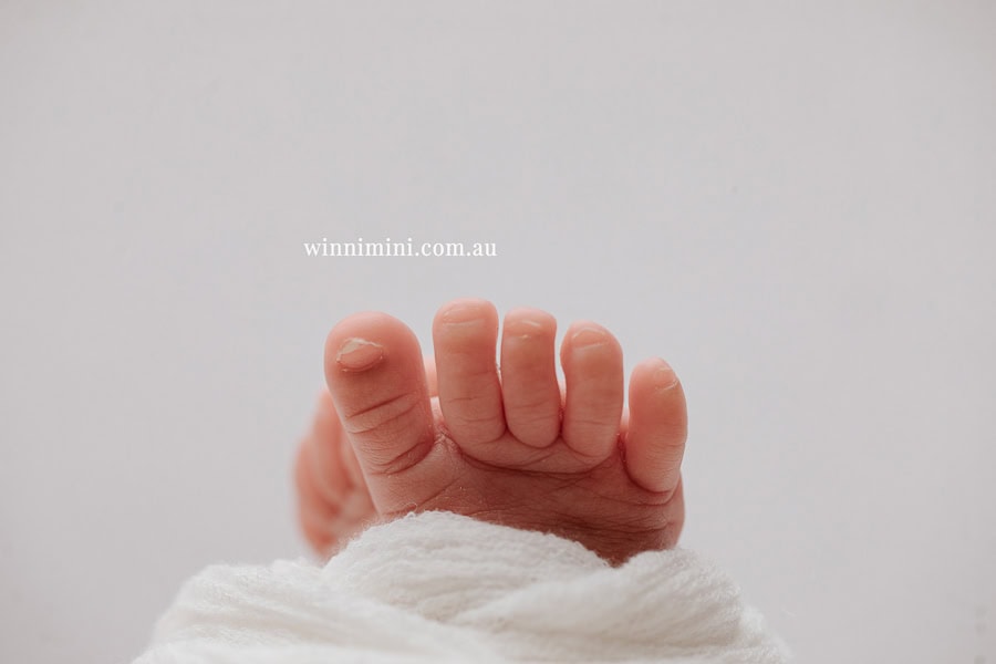newborn baby family photographer tanha photography photograph photos photo babies gold coast brisbane the best family picture pictures tanha basile winni mini