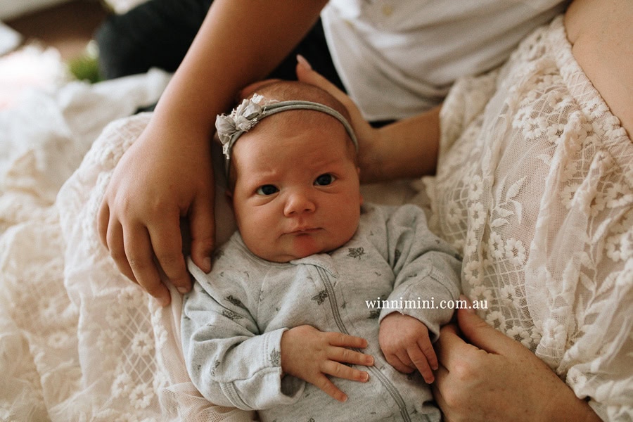 newborn baby family photographer tanha photography photograph photos photo babies gold coast brisbane the best family picture pictures tanha basile winni mini