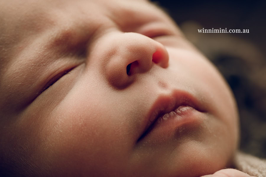 babies newborn baby family photographer photography photograph photos photo babies gold coast brisbane the best family picture pictures tanha basile winni mini
