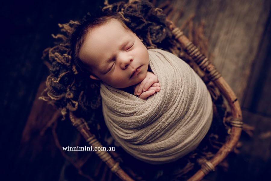 babies newborn baby family photographer photography photograph photos photo babies gold coast brisbane the best family picture pictures tanha basile winni mini