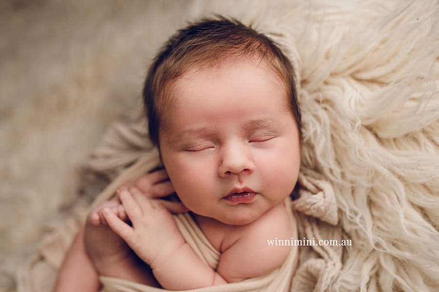 newborn baby family photographer tanha photography photograph photos photo babies gold coast brisbane the best family picture pictures tanha basile winni mini