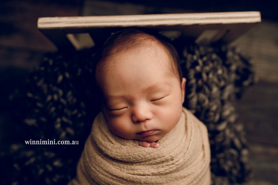 newborn baby family photographer tanha photography photograph photos photo babies gold coast brisbane the best family picture pictures tanha basile winni mini