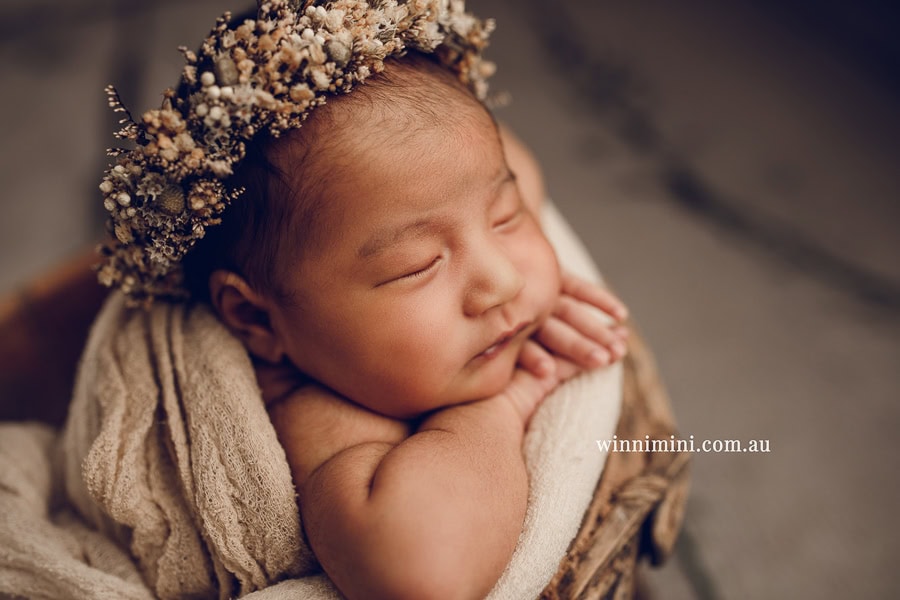 newborn baby family photographer tanha photography photograph photos photo babies gold coast brisbane the best family picture pictures tanha basile winni mini