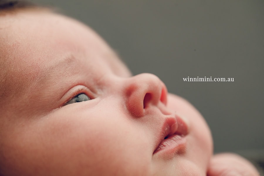 newborn baby family photographer tanha photography photograph photos photo babies gold coast brisbane the best family picture pictures tanha basile winni mini