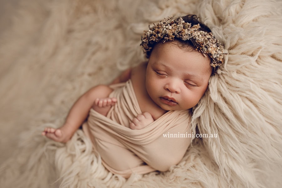 newborn baby family photographer tanha photography photograph photos photo babies gold coast brisbane the best family picture pictures tanha basile winni mini