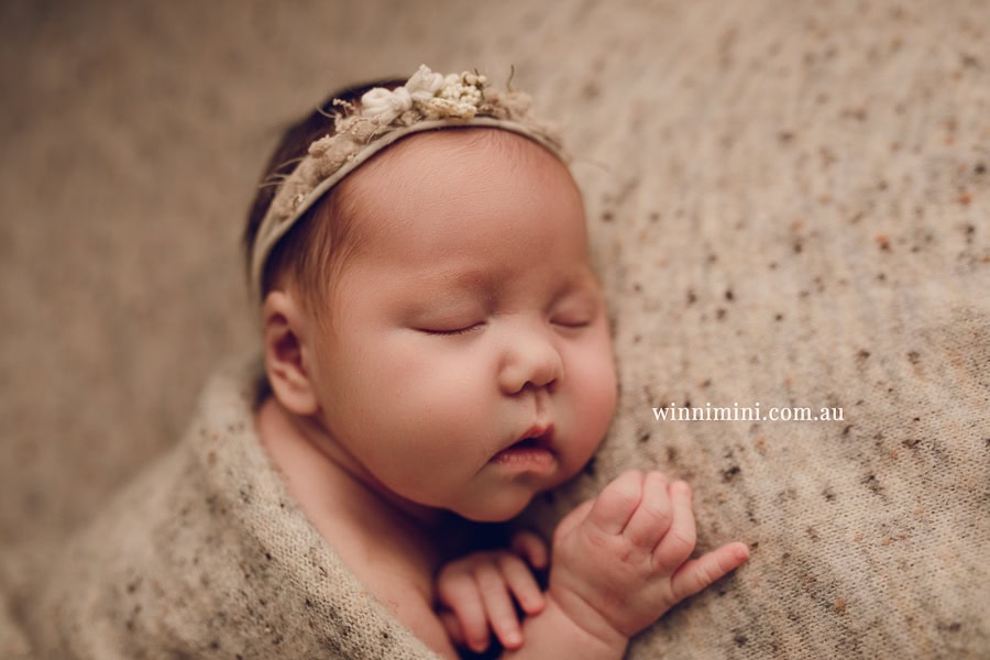 newborn baby family photographer tanha photography photograph photos photo babies gold coast brisbane the best family picture pictures tanha basile winni mini