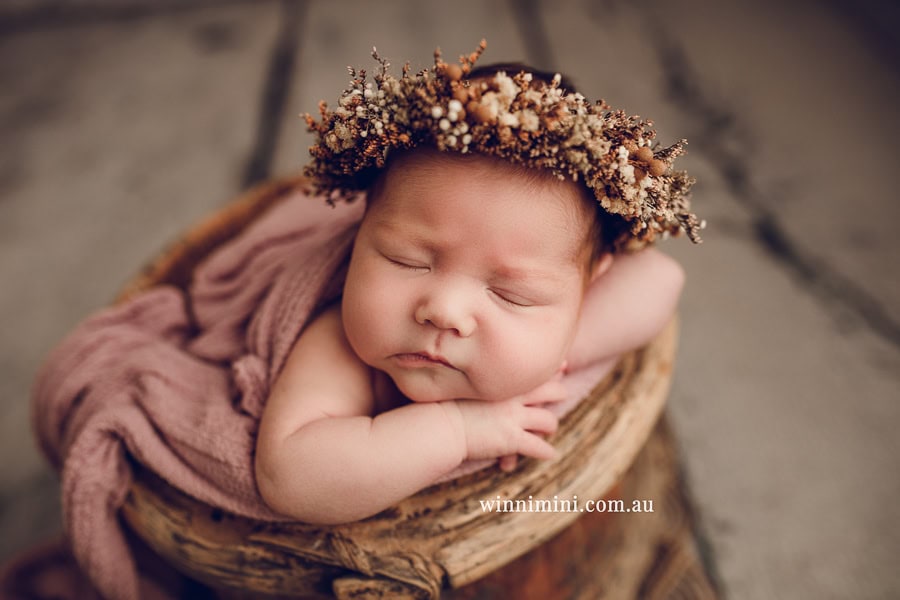 newborn baby family photographer tanha photography photograph photos photo babies gold coast brisbane the best family picture pictures tanha basile winni mini