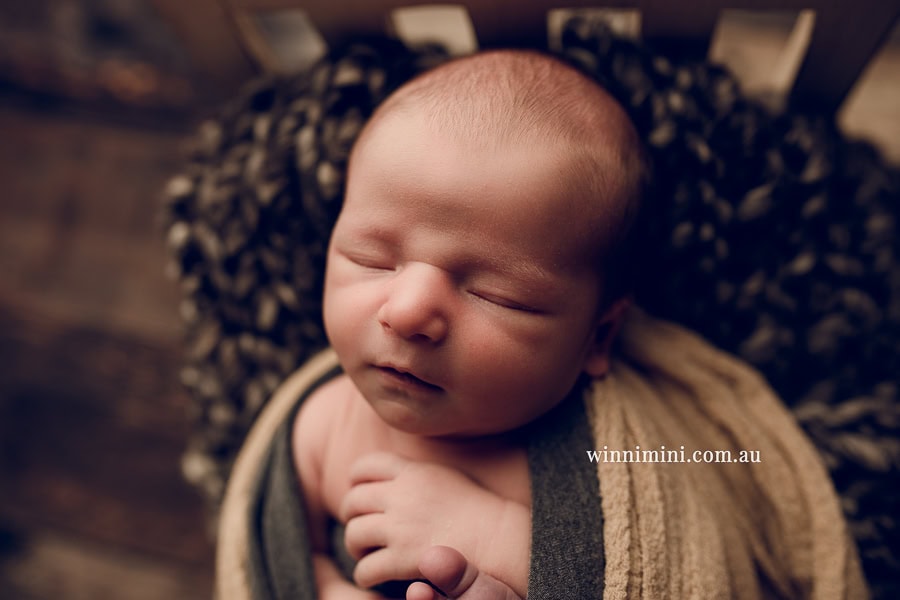 newborn baby family photographer tanha photography photograph photos photo babies gold coast brisbane the best family picture pictures tanha basile winni mini