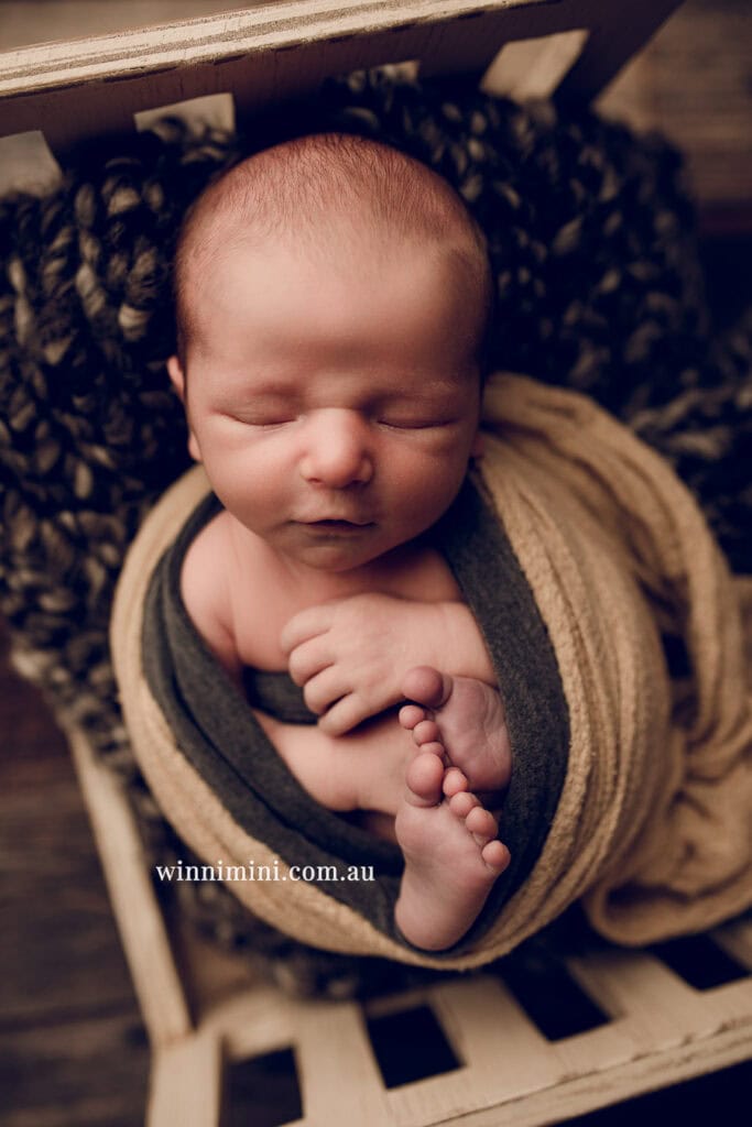 newborn baby family photographer tanha photography photograph photos photo babies gold coast brisbane the best family picture pictures tanha basile winni mini